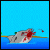 Shark Rampage